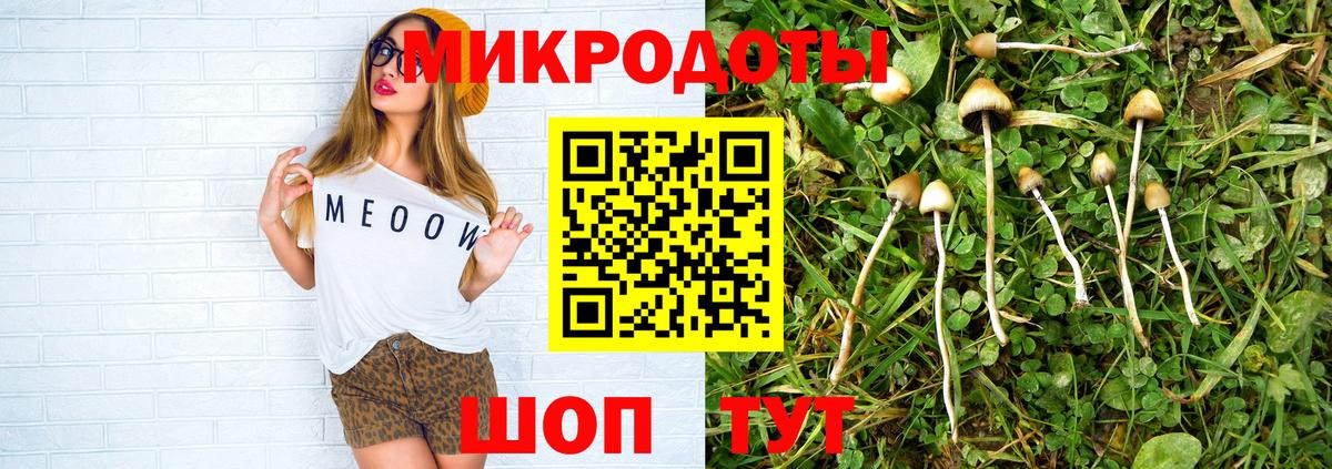 Галлюциногенные грибы Psilocybe Сатка