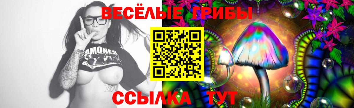 Сатка  Галлюциногенные грибы MAGIC MUSHROOMS  Вход с VPN 